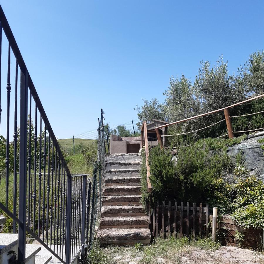 Holiday Home Tavullia Dış mekan fotoğraf