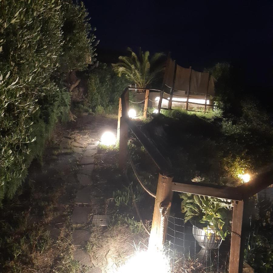 Holiday Home Tavullia Dış mekan fotoğraf